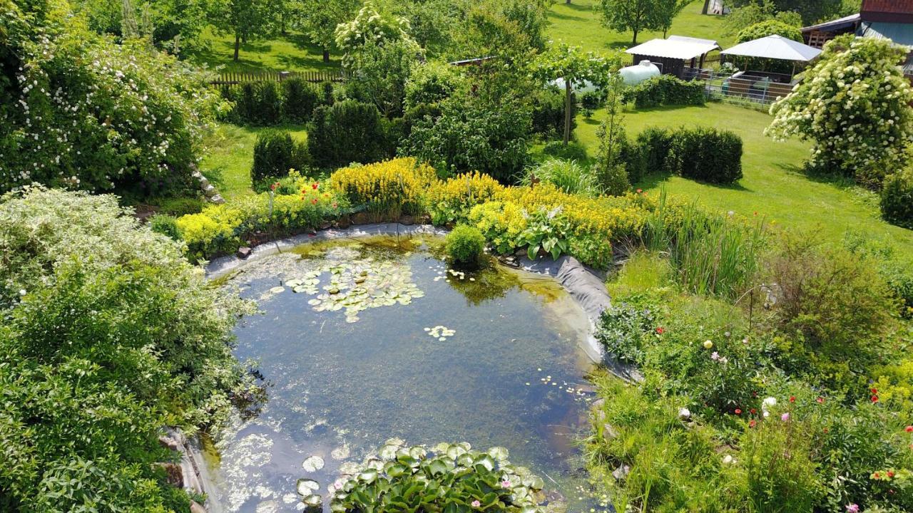 Gasthaus Winkelvoss آينبك المظهر الخارجي الصورة
