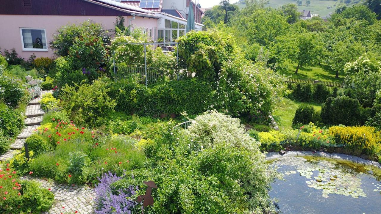 Gasthaus Winkelvoss آينبك المظهر الخارجي الصورة